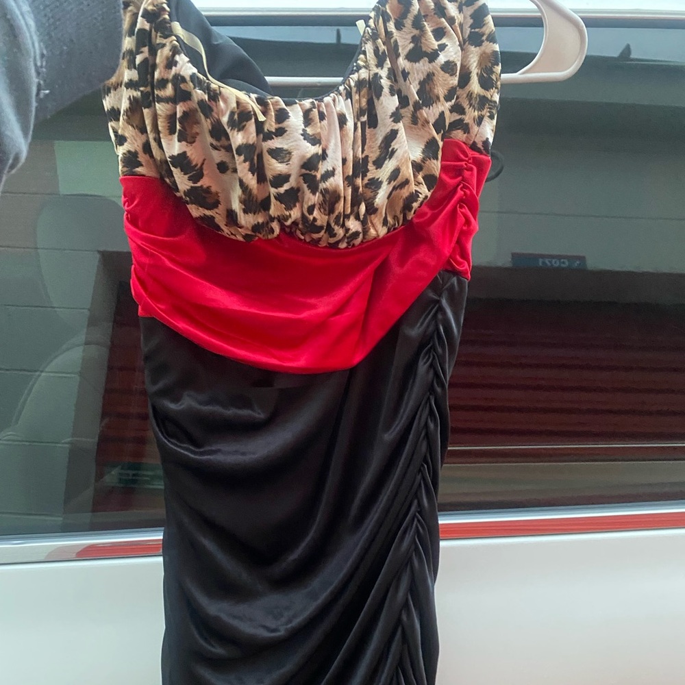 Leopard Print and Red Black Dress
